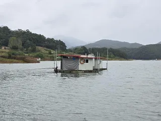 청풍 한버들 조황입니다