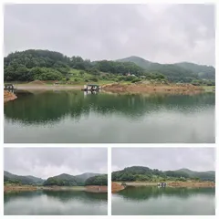 청풍신리낚시터 주말조황입니다