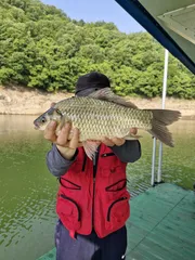 사오리 낚시터 조황정보