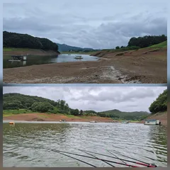 청풍신리낚시터 주말조황입니다