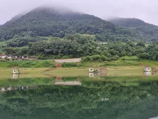 용곡 김기호 낚시터 조황정보 입니다