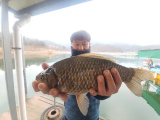 돌감낚시터 4짜 조황입니다.