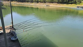 덕곡낚시터 조황입니다