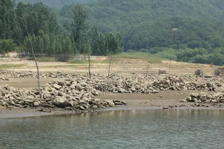 솔낚시터 평일 사짜 조황소식입니다.