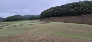 청풍신리낚시터 조황입니다