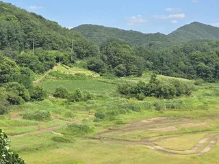 청풍 한버들 조황입니다