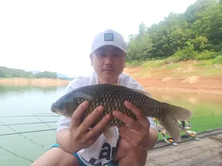 돌감낚시터 붕어조황입니다.