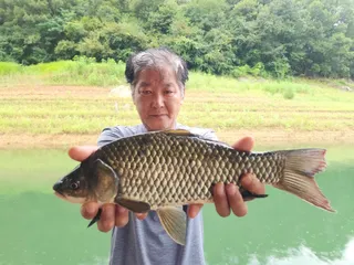 돌감낚시터 붕어조황입니다.