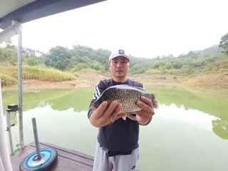 돌감낚시터 조황입니다.