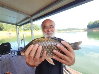 돌감낚시터 조황입니다.