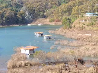 청풍 실리곡낚시터 조황입니다.