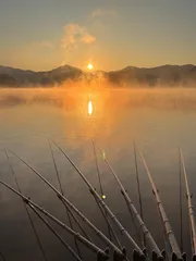 청풍 한버들 조황입니다