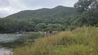 솔낚시터 사짜 조황입니다.