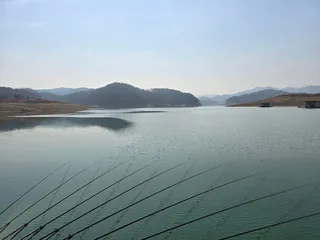 청풍 한버들 조황입니다