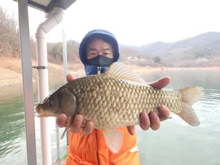 돌감낚시터 조황입니다.