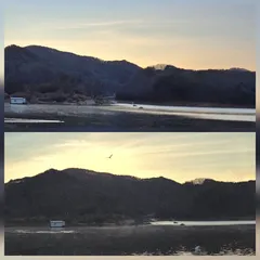 청풍신리낚시터 조황입니다