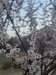 4월의시작 대물과함께