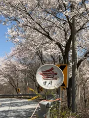 솔마니아컵 친선경기 소식입니다.