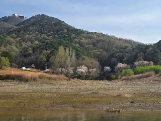 청풍 한버들 조황입니다