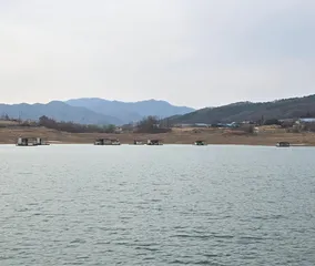 청풍 한버들 조황입니다