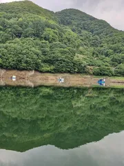 사오리 낚시터 조황정보