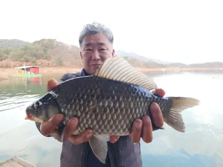 돌감낚시터 조황입니다.