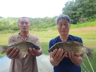 돌감낚시터 조황입니다.