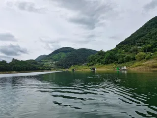 용곡 김기호 낚시터 사짜 조황정보 입니다
