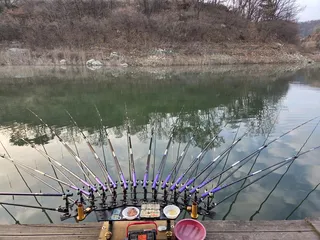 청풍실리곡낚시터 45cm 대물 조황입니다.