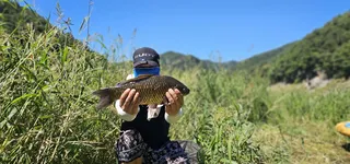 충주 명서낚시터 조황입니다