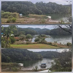 청풍신리낚시터 조황입니다