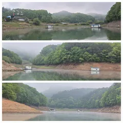 청풍신리낚시터 조황입니다