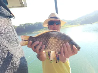 돌감낚시터 4짜 및 조황입니다.