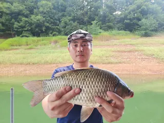 돌감낚시터 조황입니다.