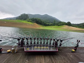 솔낚시터 조황 소식입니다.