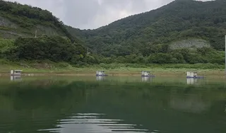 후산낚시터 조황안내