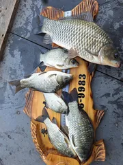 종점낚시터 입니다