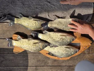 목벌 약한오름의 시작