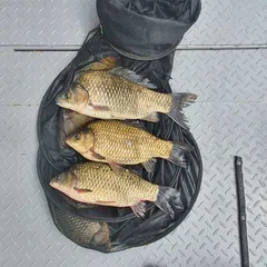 후산낚시터 조황 및 안내 입니다