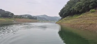 청풍신리낚시터 조황입니다