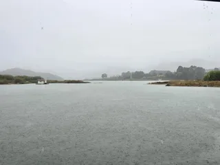 청풍 한버들 조황입니다