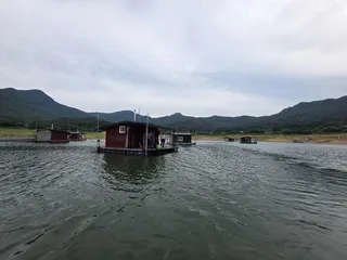 솔낚시터 사짜 조황소식입니다.