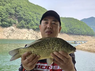 목벌 조황정보 입니다.