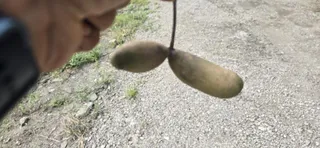 신매낚시터 9월 08일 조황