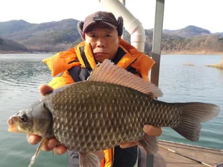 돌감낚시터 4짜 및 조황입니다.