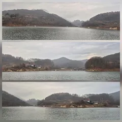 청풍신리낚시터 조황입니다