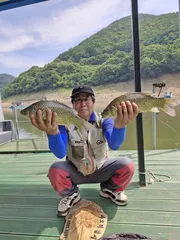 사오리 낚시터 조황정보