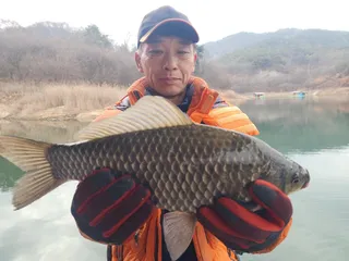 돌감낚시터 붕어조황입니다.