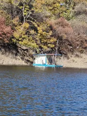 사오리 낚시터 조황정보