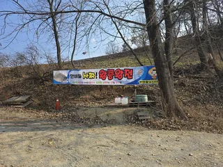 청풍 한버들 조황입니다